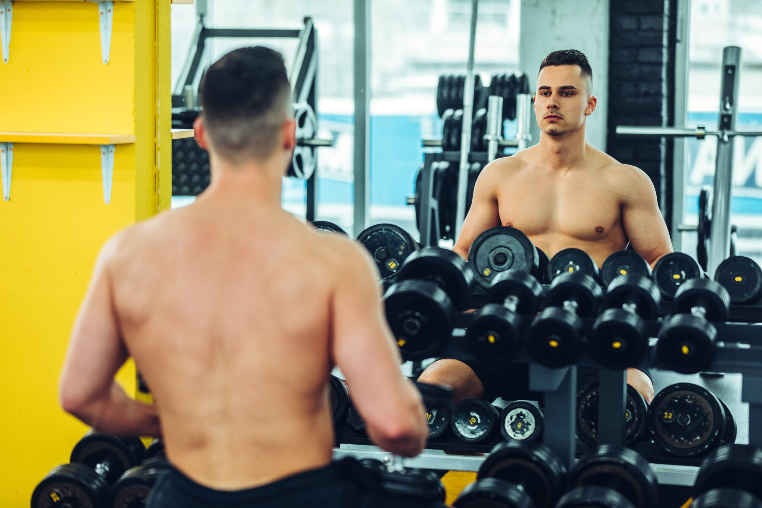 Gym Management Applications