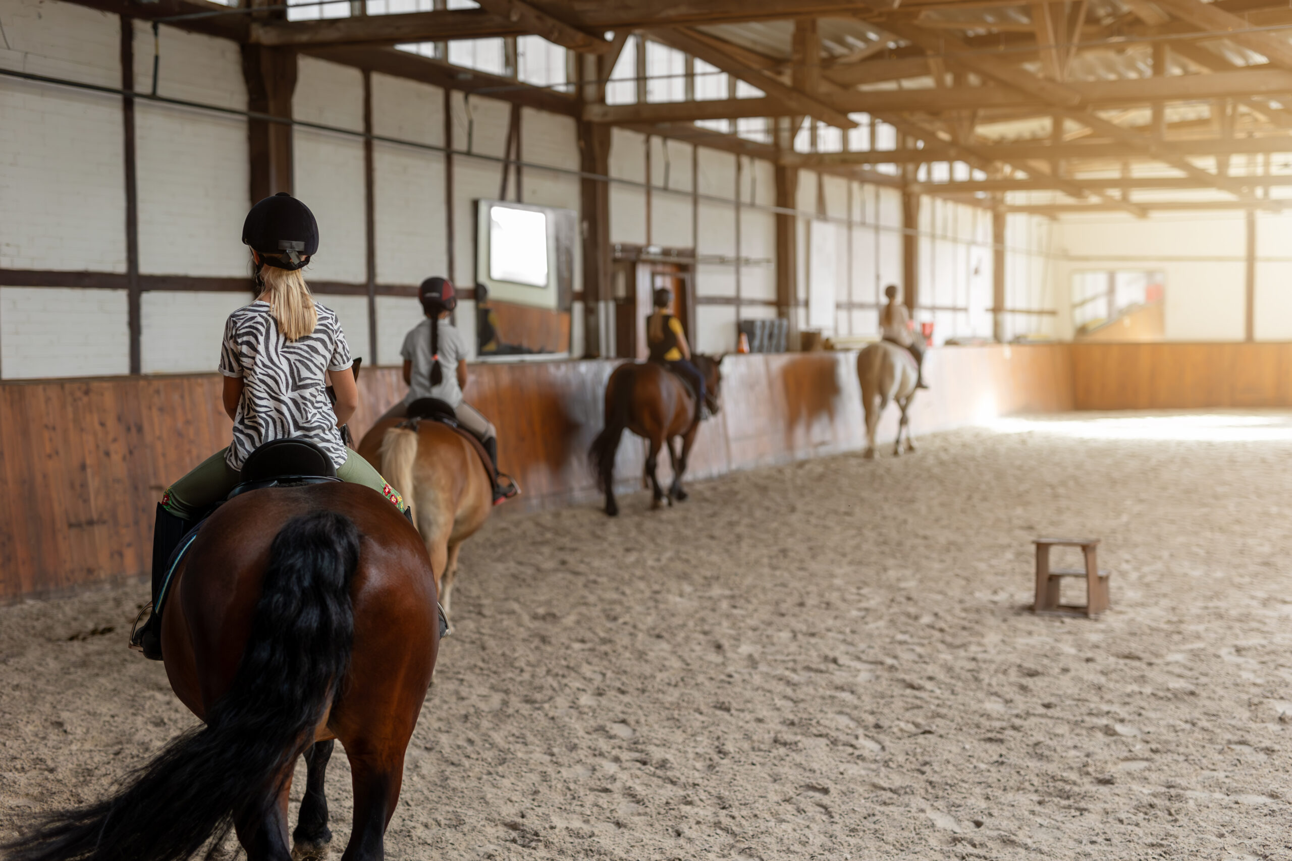  equestrian farm management program 