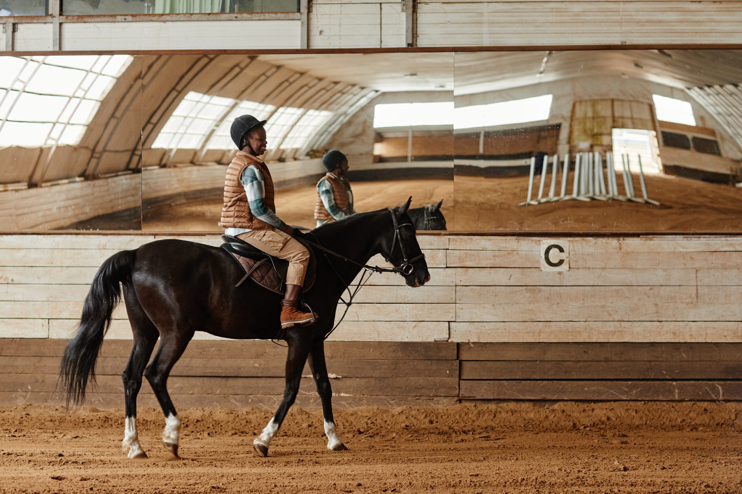  professional equestrian management software 
