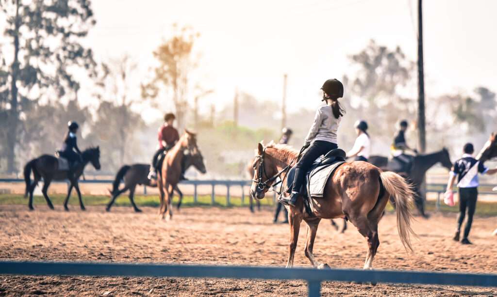 professional equestrian management software