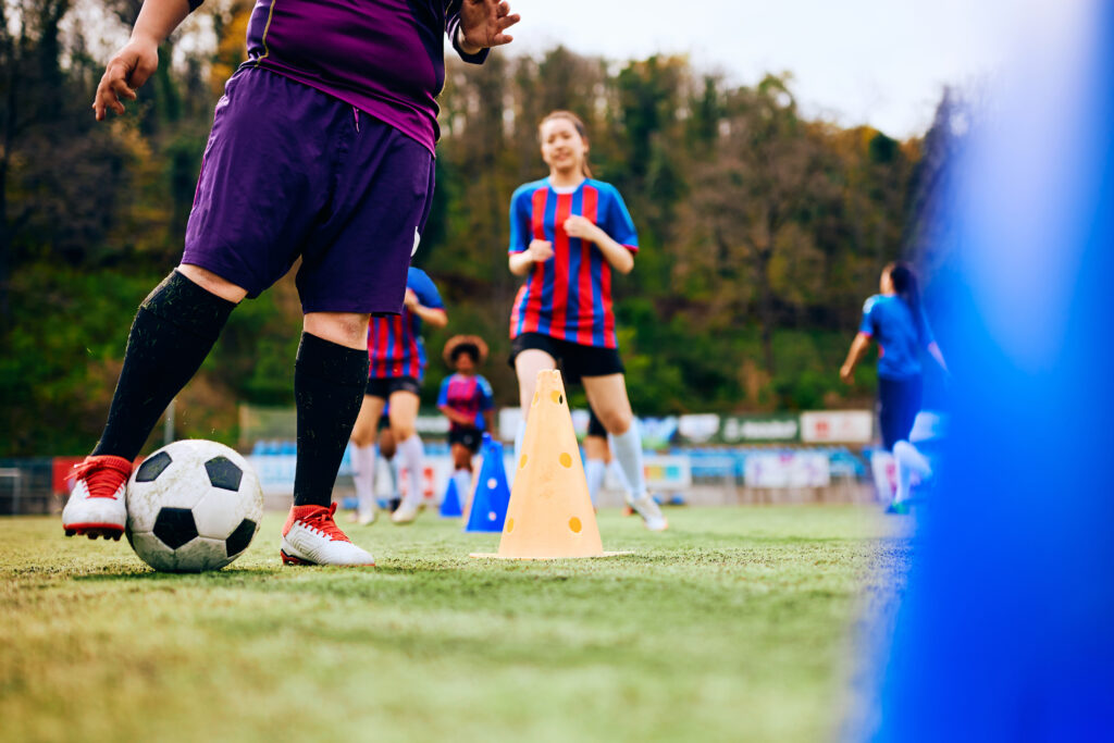 sports team management software