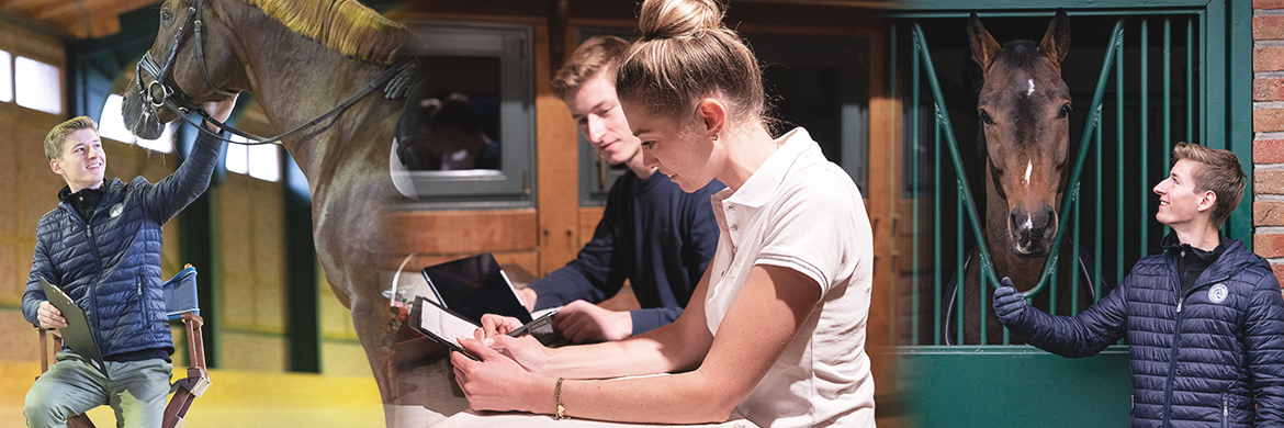 Best Equestrian Software for Stables & Riding Schools