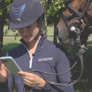 equestrian management software