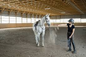 Horse Management Software: Health, Training & Stable Ops (2026)