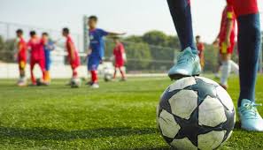 Best Sports Academy Management Software (2026 Guide)